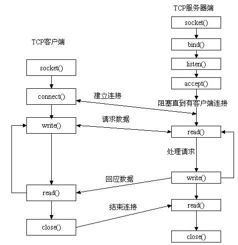 查看图片